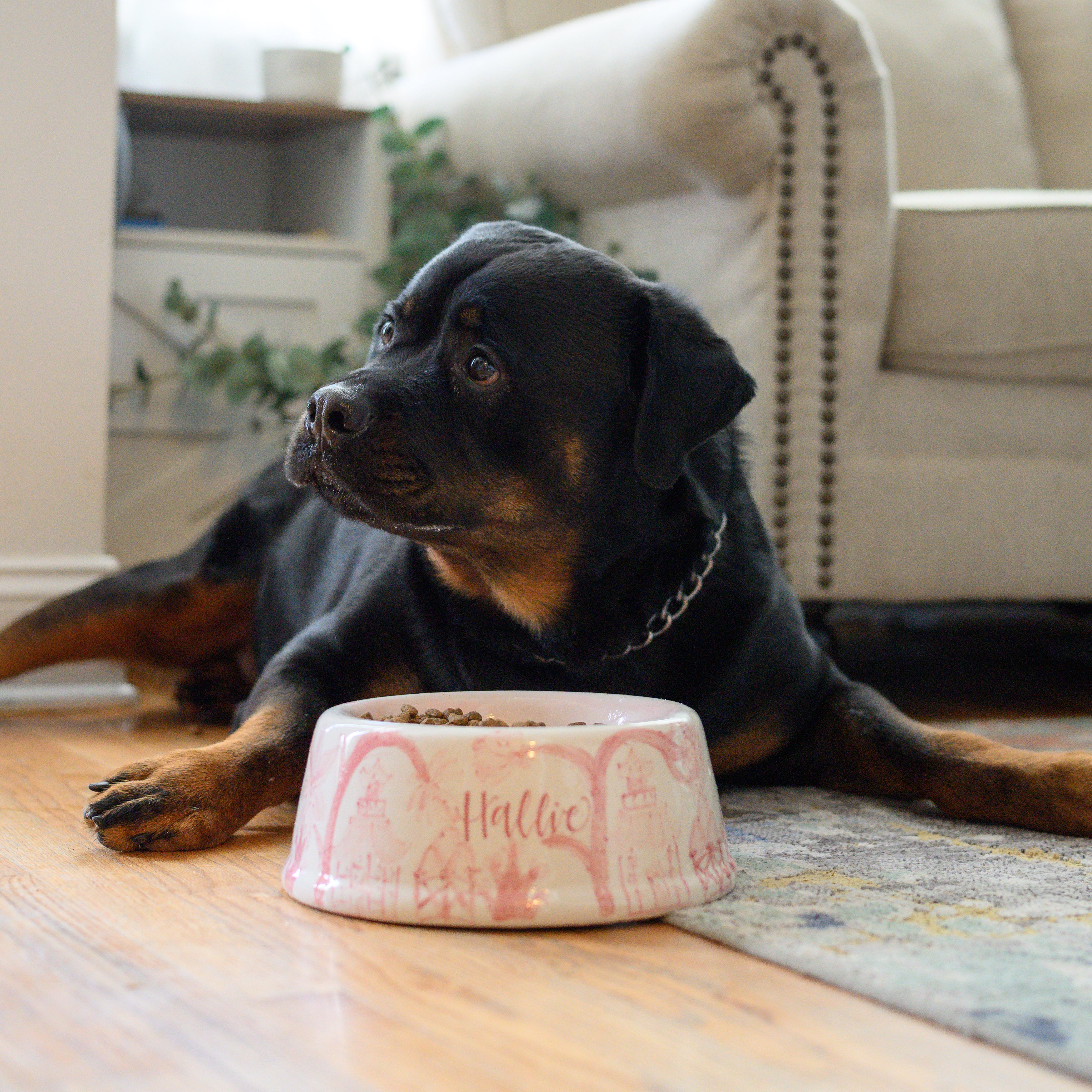 Classic Chinoiserie Pet Bowl